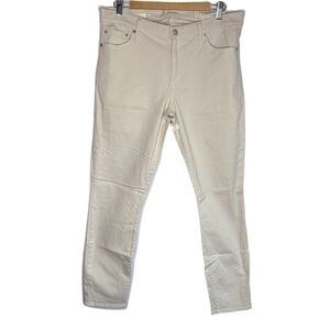 GAP Authentic True Skinny Pants in Mocha Cream